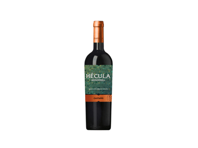 Ekologiškas raudonasis sausas vynas CASTANO HECULA, 750 ml