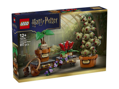 Konstruktorius LEGO HOGVARTSO AUGALAI 76474