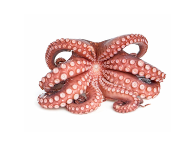 Šaldytas paprastasis aštuonkojis,valytas,nevirtas,4-6kg,0% glazūra,~5kg