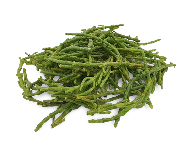 Europinė salikornija, 1 kg