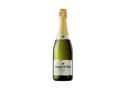 Putojantis baltasis sausas vynas SANGRE DE TORO BRUT, 750 ml