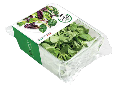 Salotinė SULTENĖ, 100 g