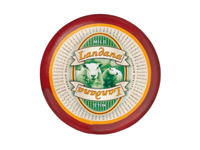 Avių pieno sūris LANDANA CHEESE MILD, 50 % rieb. s. m., 1 kg