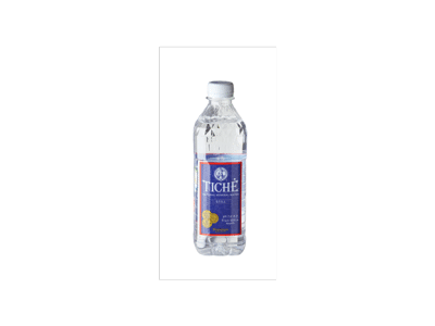 Negazuotas natūralus mineralinis vanduo TICHĖ, 500 ml
