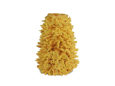 DANUTĖS šakotis, 1 kg