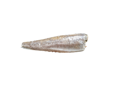 Šaldyta argentininė jūros lydeka,be galvos,be uodegos,skrosta,be glazūros,200-400,~12kg
