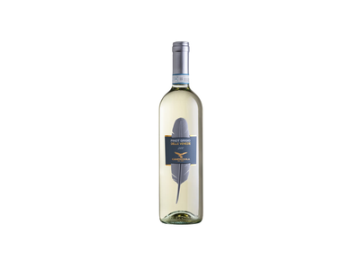 B. s. vynas CAMPAGNOLA PINOT GR. 13,5%, 0,75l
