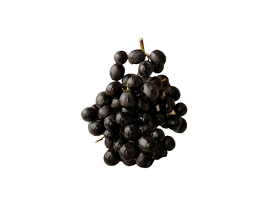 Juodosios besėklės vynuogės MIDNIGHT BEAUTY, 300g
