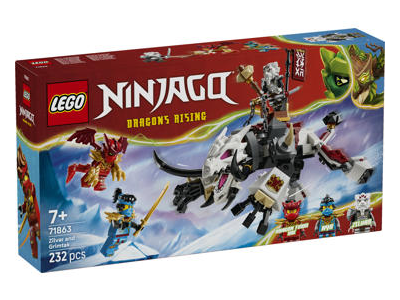 Konstruktorius LEGO Zilvar Ir Drakonas 71863