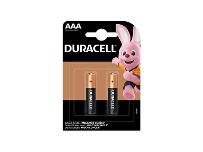 Baterijos DURACELL, AAA, LR03, 2 vnt.