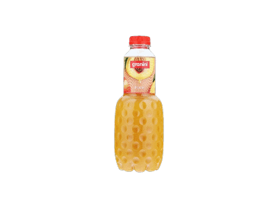Gaivusis persikų sulčių gėrimas GRANINI, 1 l