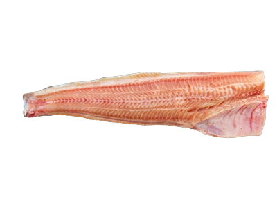 Afrikinio šamo plėšiko filė, su oda, 300-600g