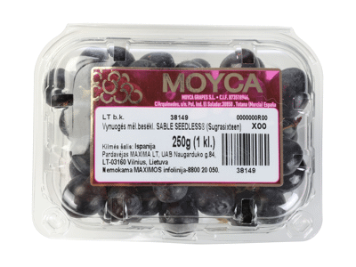 Mėlynosios besėklės vynuogės SABLE, 250 g