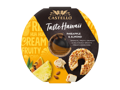 Kreminis sūris CASTELLO su ananasais, 24 % rieb. s. m., 125 g