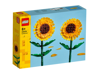 Konstruktorius LEGO SAULĖGRĄŽOS  