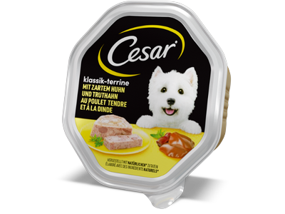 Šlapias ėdalas šunims CESAR, su vištiena ir kalakutiena, indelyje, 150g