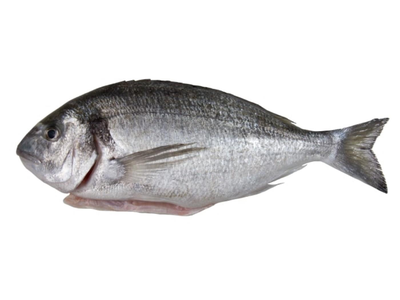Šaldyta auksaspalvė dorada su galva, skrosta, 300-400g, 20% glazūra,5kg