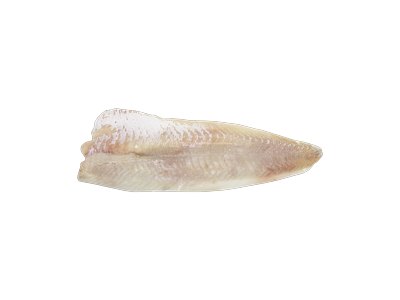 Šaldyta ledjūrio menkės filė be odos 400-800g,9 kg