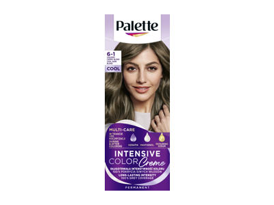 Plaukų dažai PALETTE ICC 6-1, 1 vnt.