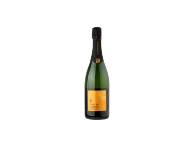 Putojantis vynas HOYA DE CADENAS, Cava Brut Blanco, 11,5%, 6 x 0,75 l