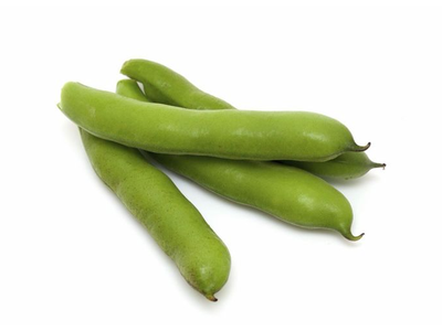 Pupos FAVA, I klasė, kg