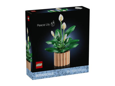 Konstruktorius LEGO Taikos Lelija 11504