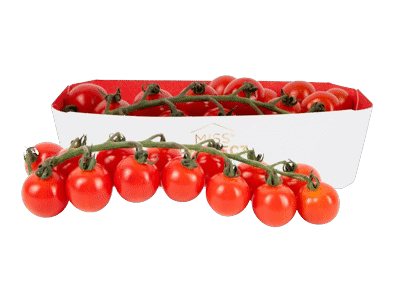 Smulkiavaisiai pomidorai su šakelėmis MIS PERFECT, 350 g
