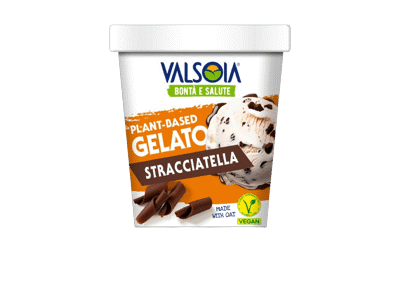 Veganiški valgomieji ledai VALSOIA su juodojo šokolado gab., 300 g