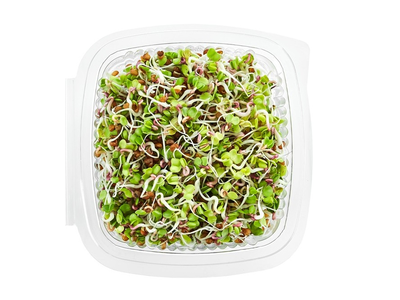 Ridikėlių (Rose) daigai, 50 g