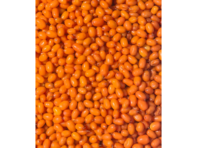 Šaldytos šaltalankio uogos, 1 kg