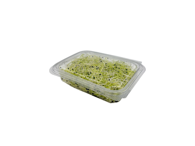 Porų daigai LEAFOOD, 50g