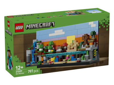 Konstruktorius LEGO Mini Biomes 21589