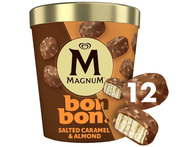 Valg. van. ledai MAGNUM su karam., 204ml/168g