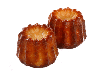 Kanelės (atitirpintos), 40 g