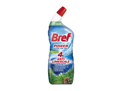 WC valiklis BREF POWER ACTIVE Pine, 750 ml