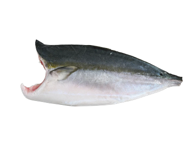 Japoninės seriolės (Hamachi) filė, su oda, ~12kg