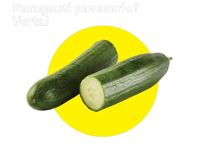 Ilgavaisis agurkas