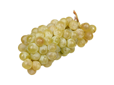 Žaliosios vynuogės Vittoria, 1 kg