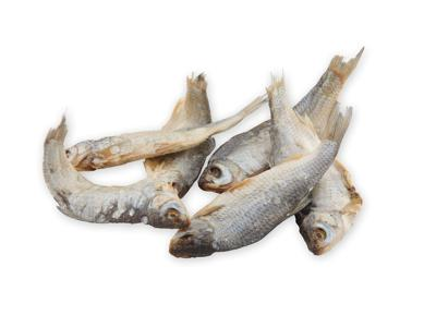 Vytintos kuojos, neišdarinėtos, 1 kg