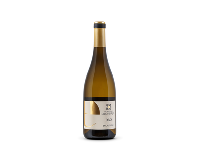 Vynas MORGADO DE SILGUEIROS, Encruzado, baltas, sausas, 13,5%, 0,75 l