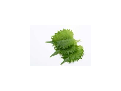 Lapai SHISO, žali, 15 vnt.