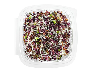 Ridikėlių (Red) daigai, 50 g