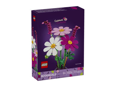 Konstruktorius LEGO KOSMĖJOS11514