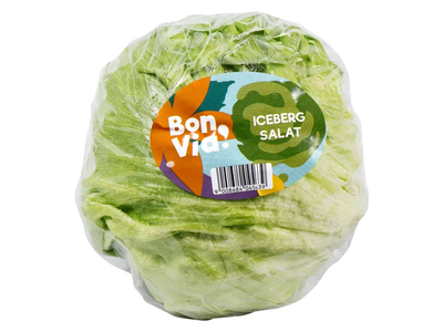 Salotos ICEBERG