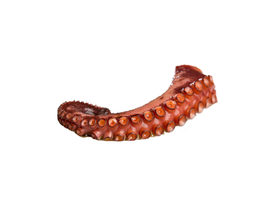 Šaldytos aštuonkojo kojos, virtos, 500g