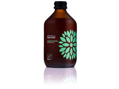 Ekologiškas gaivusis arbatos gėrimas VIGO Kombucha , Agurkas+kalendra 330ml, LT-EKO-001