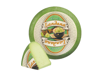 Sūris su vasabių prieskoniais LANDANA, 50 % rieb. s. m., 1 kg