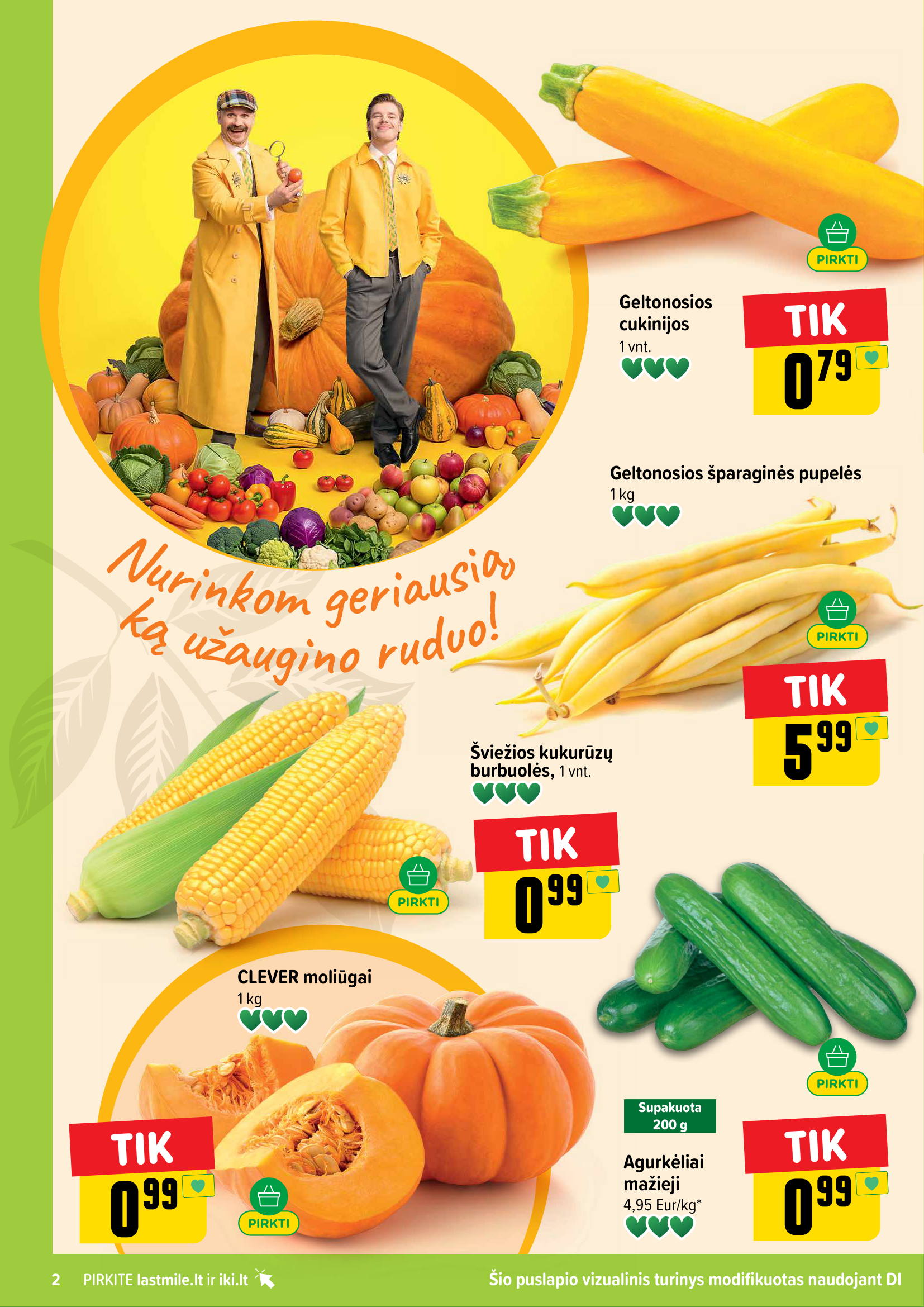 Ruduo sunoko - save pranoko – 2 puslapis
