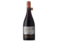 Sausas raudonas vynas VENTISQUERO RESERVA PINOT NOIR (13%), 750 ml