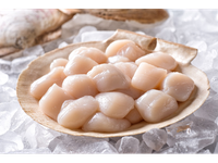 Šaldyta jūros šukučių mėsa, be ikrų, nevirta, 10-20, 10% glazūros, 900g /1 kg